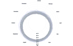 LineChart - large-radial-series
